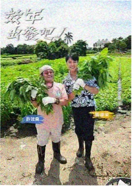 版本比对工作台的缩略示意